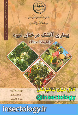 ایمنی سمپاش ها