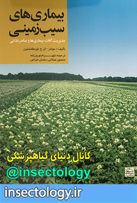 افات سیب زمینی