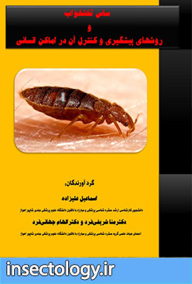 ساس تختخواب