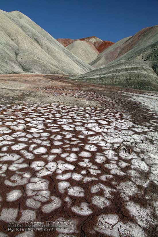 طبیعتگردی