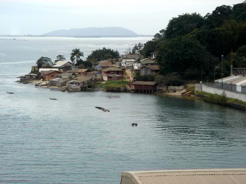 http://s8.picofile.com/file/8268514592/DSC00025.jpg