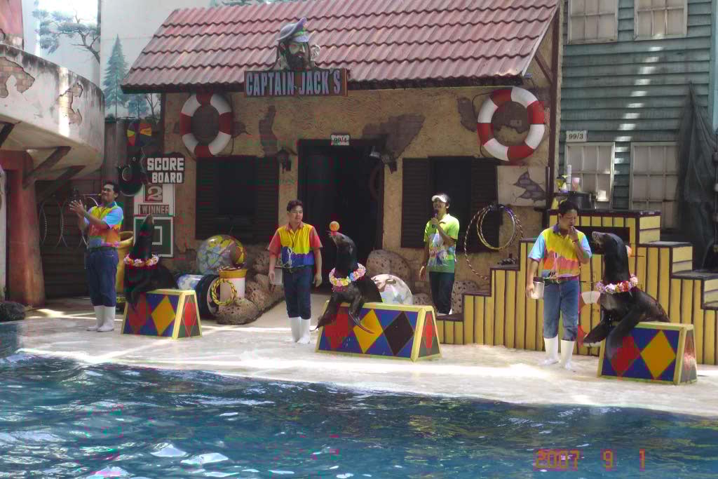 http://s8.picofile.com/file/8268514642/DSC02521.jpg