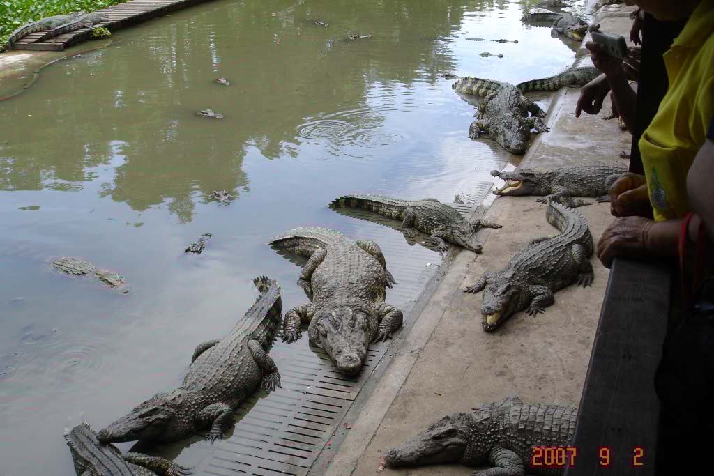 http://s8.picofile.com/file/8268514834/DSC02573.jpg
