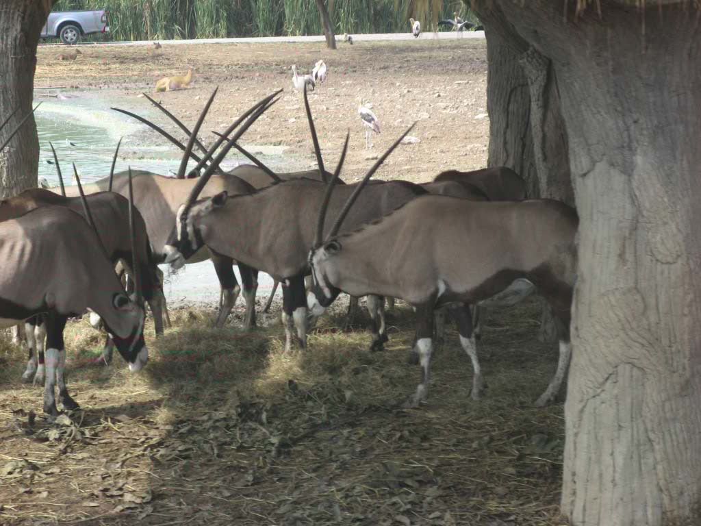 http://s8.picofile.com/file/8268515268/IMG_0339.jpg