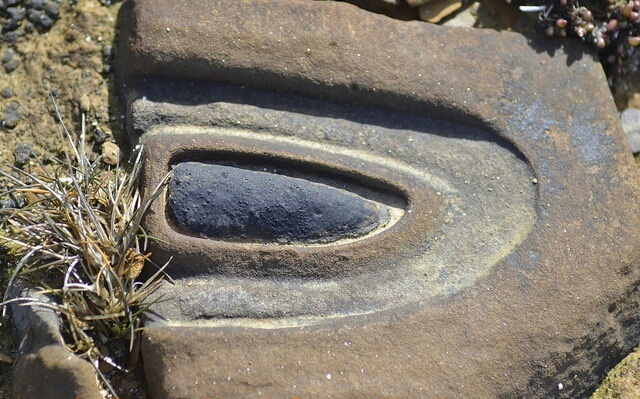 معنی علامت چشم معنی چشم گنج