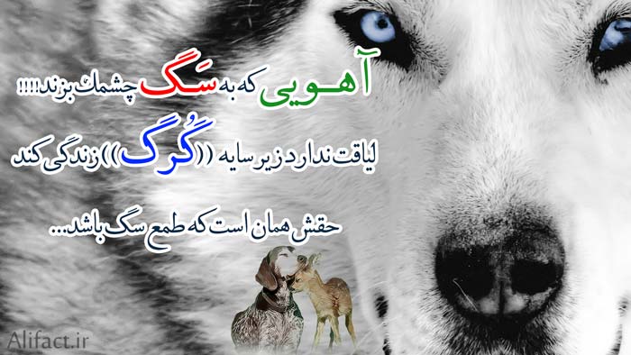 ع فاز سنگین,ع دخترونه فاز,ف مغرور ع فاز سنگین,ع لس ام اس فاز سنگین,ع فاز دخترونه هه