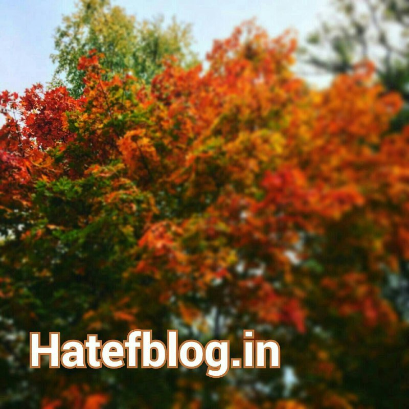 photo by:hatefblog.in