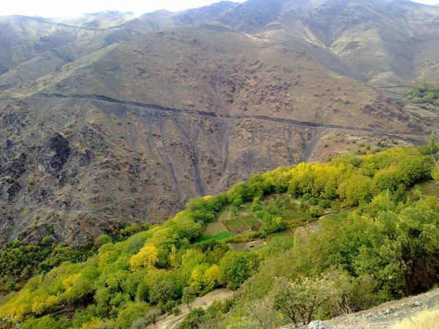 وه ر ده گا 