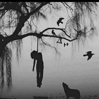 aloneboy76