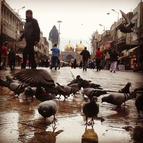 http://s8.picofile.com/file/8271849026/%D8%B4%D9%87%D8%B1_%D9%85%D9%82%D8%AF%D8%B3_%DA%A9%D8%A7%D8%B8%D9%85%DB%8C%D9%86_%D8%B9%D8%B1%D8%A7%D9%82.jpg