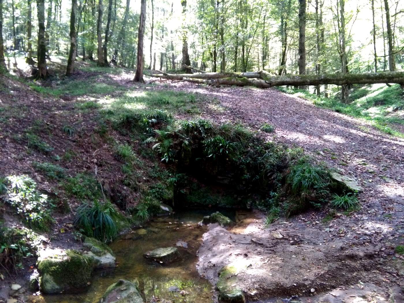 IMG_20161007_110835.jpg (1400×1050)