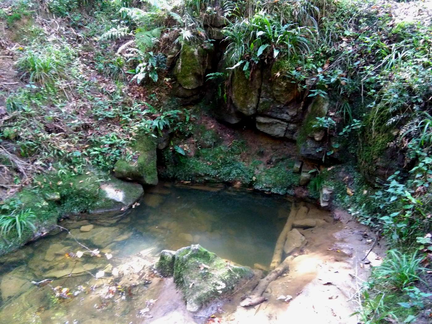 IMG_20161007_110856.jpg (1400×1050)