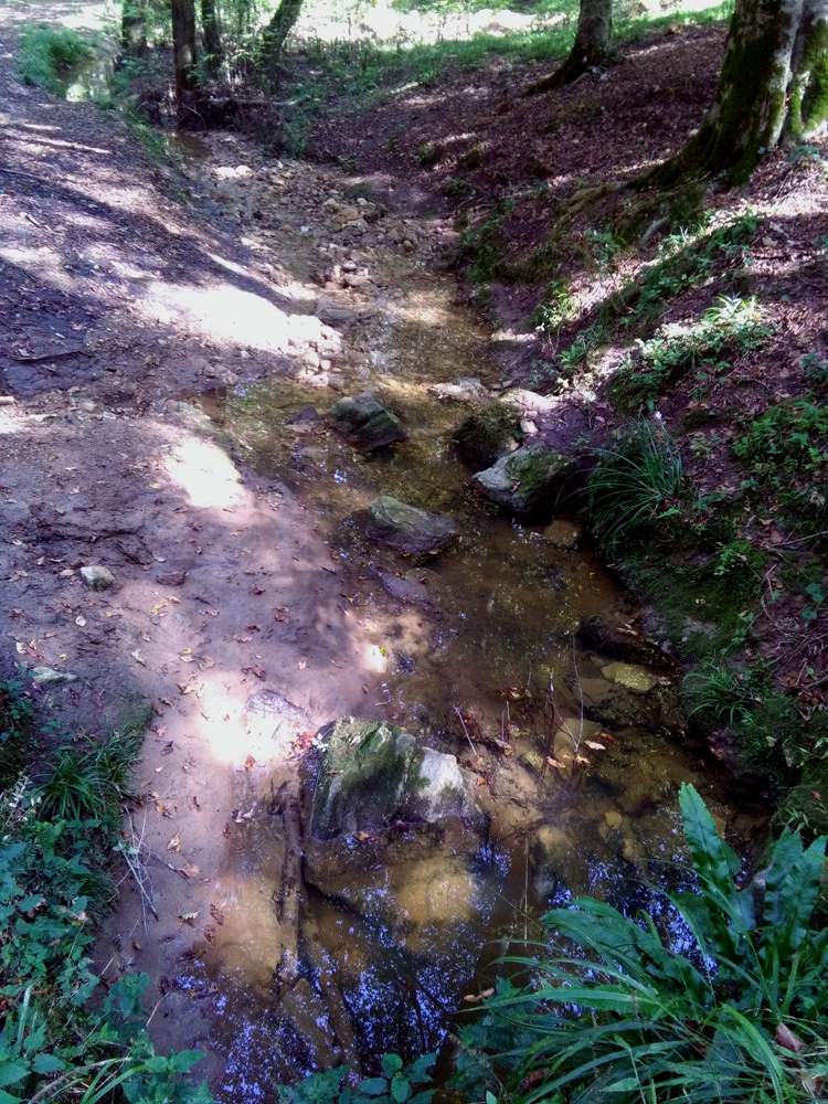 IMG_20161007_110912.jpg (750×1000)