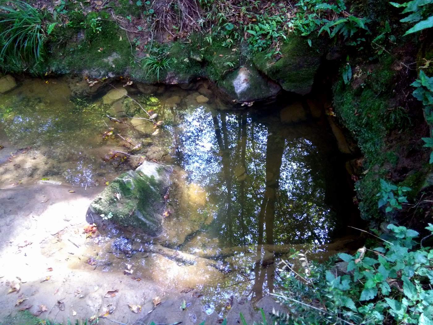 IMG_20161007_110946.jpg (1400×1050)