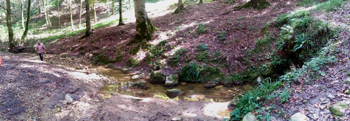 IMG_20161007_111047.jpg (1400×485)