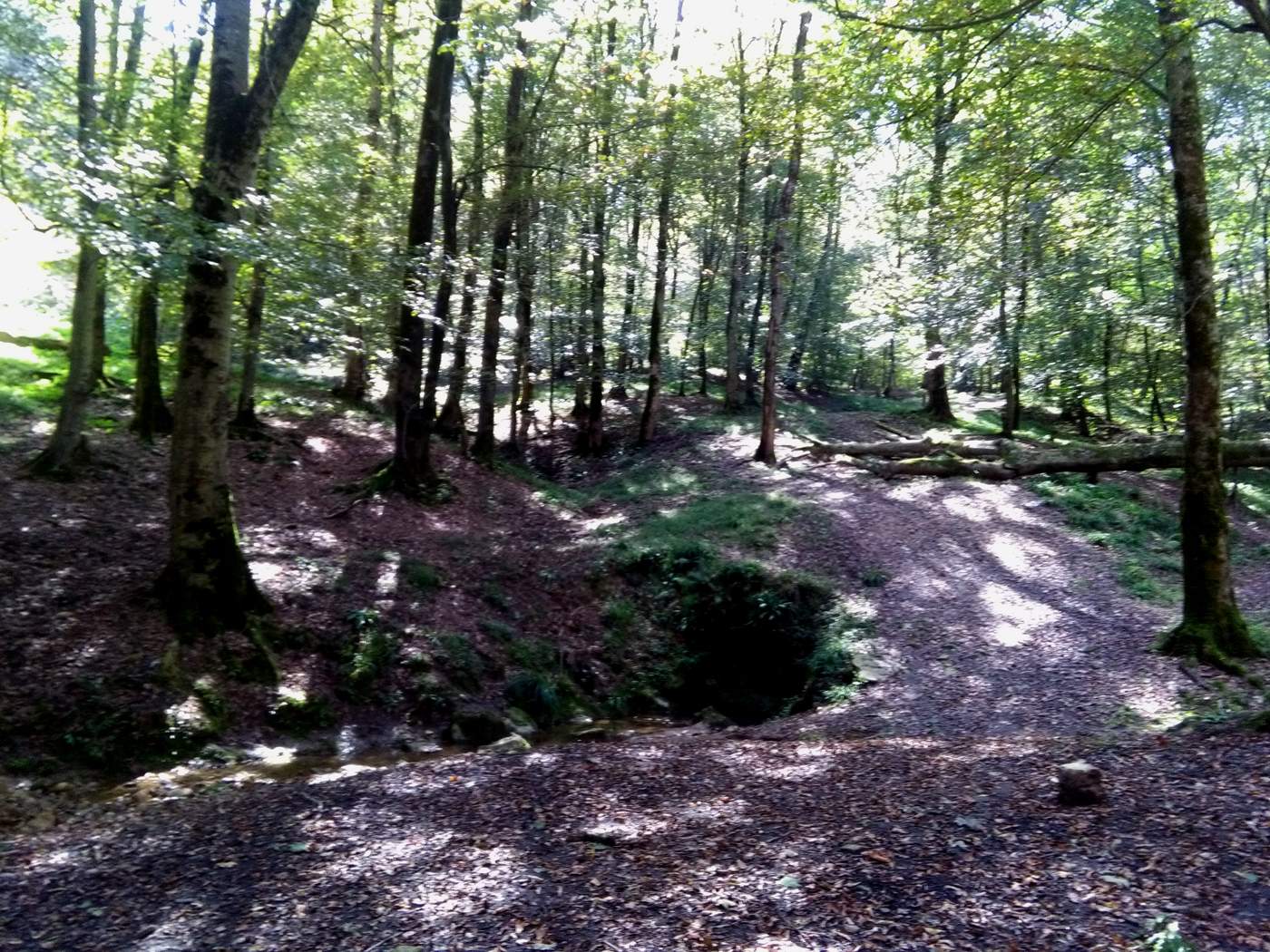 IMG_20161007_111507.jpg (1400×1050)