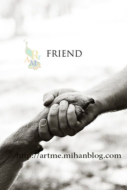 http://s8.picofile.com/file/8272150718/b71107ca9fdbde702d280b3756f028eb_Copy.jpg