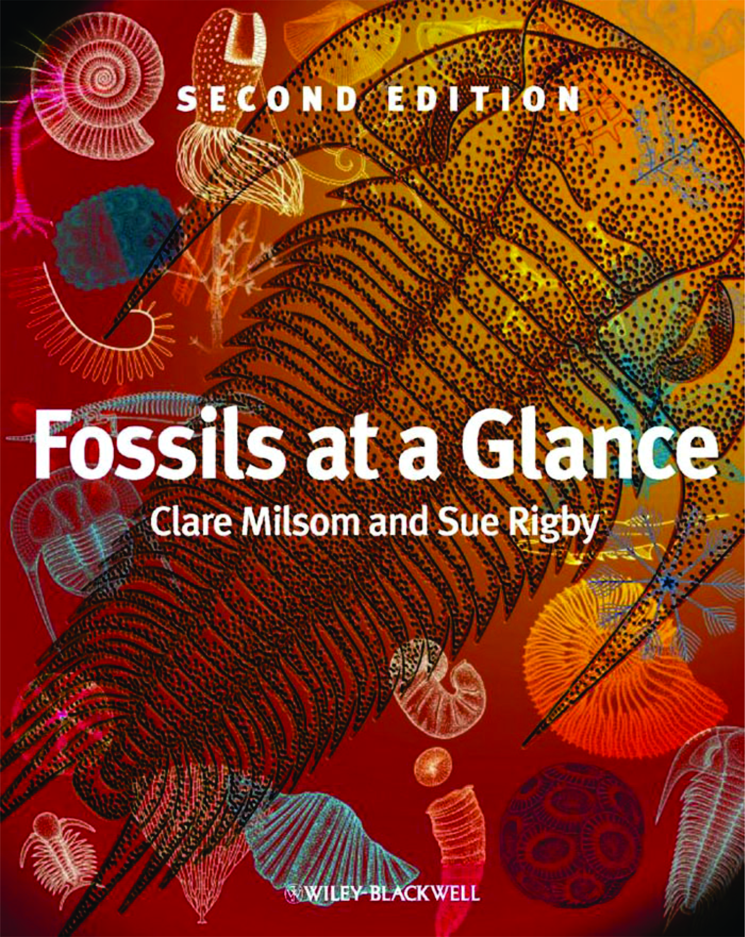 Fossils At A Glance (Second Edition)
