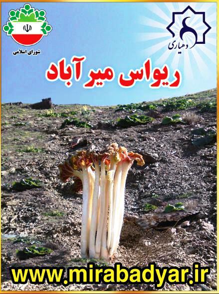 ریواس میرآباد نیشابور