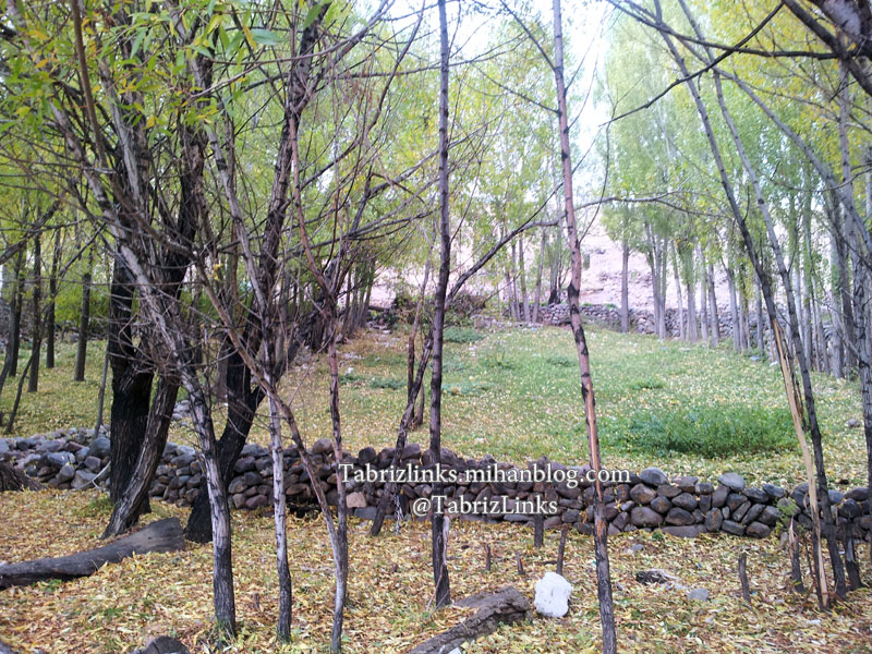 باغات سهند