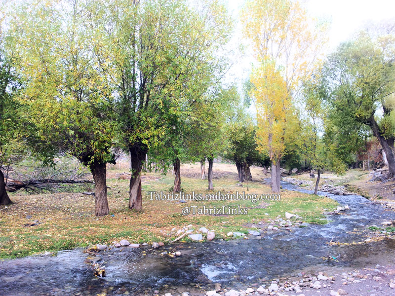 طبیعت پاییزی