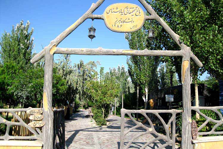 تبریز