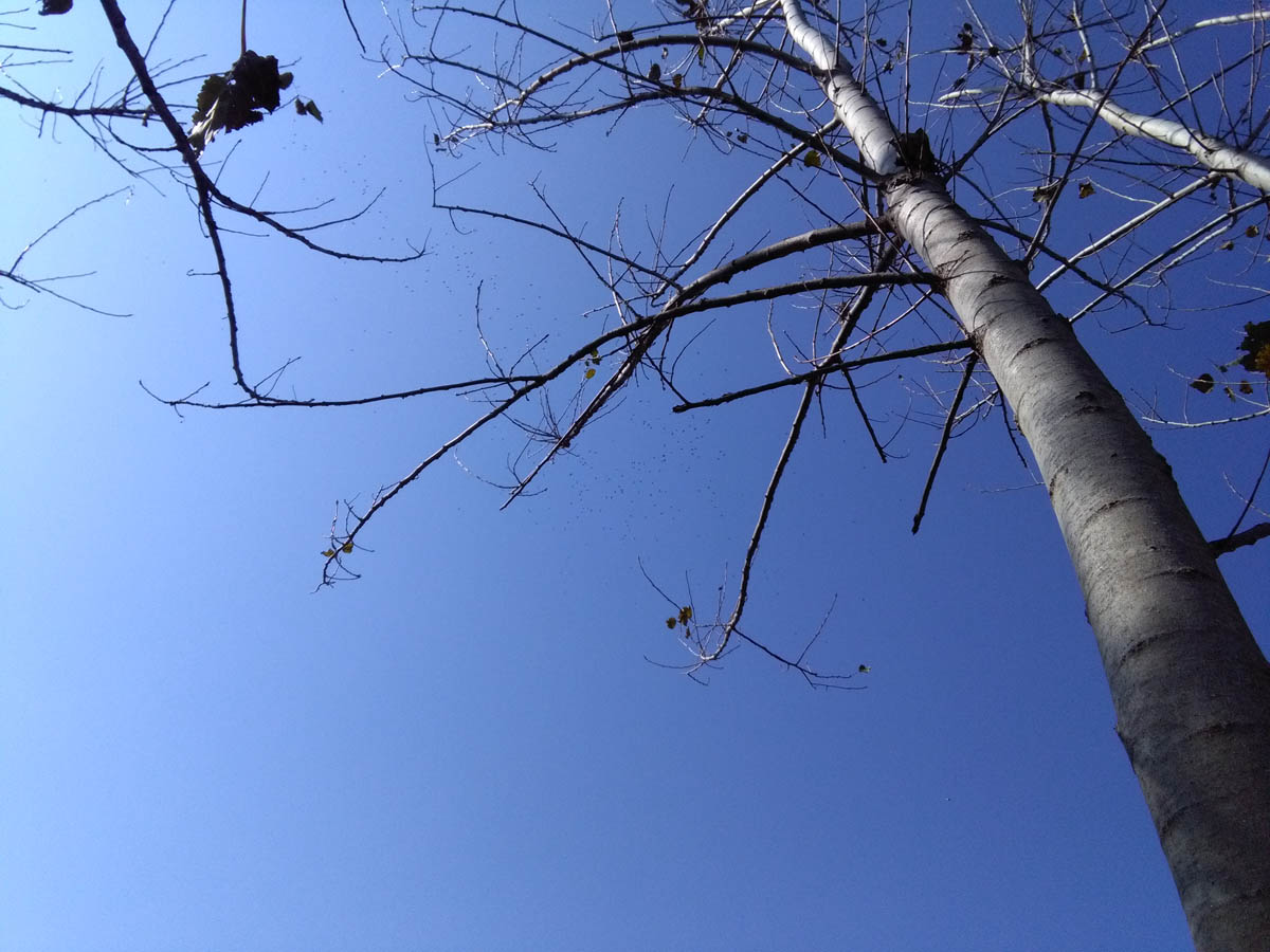 1_1_.jpg (1200×900)