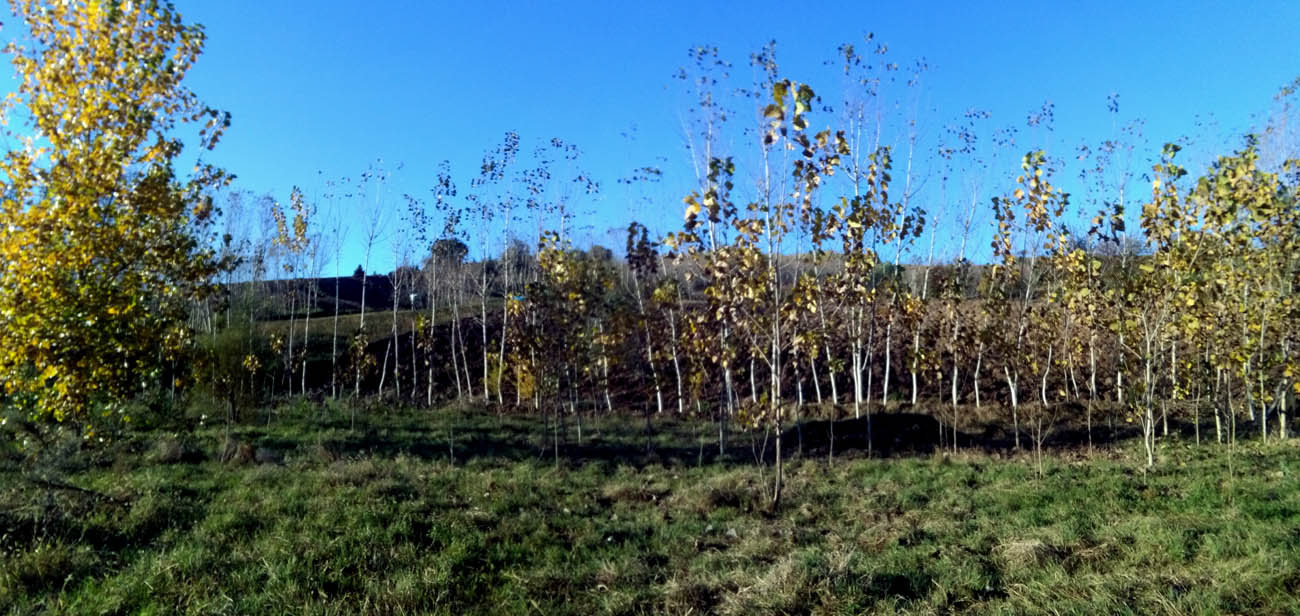 1_2_.jpg (1300×616)