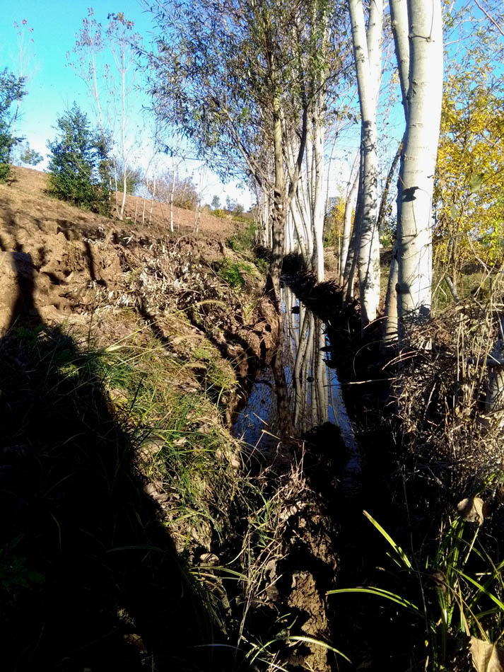 1_10_.jpg (713×950)