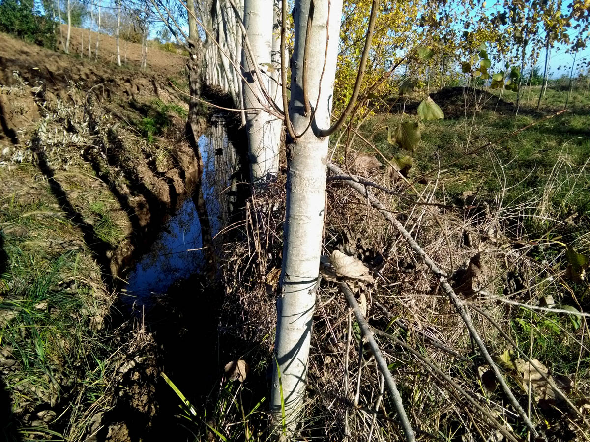 1_11_.jpg (1200×900)