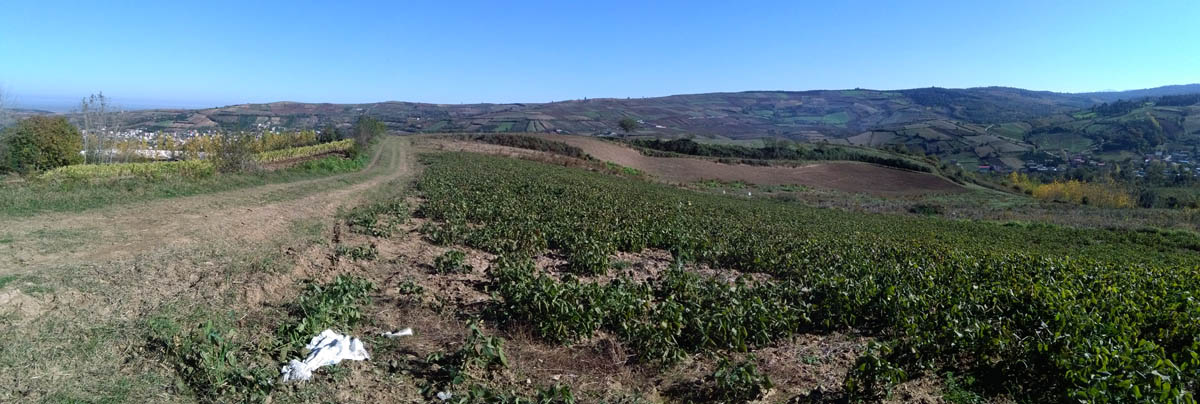 1_14_.jpg (1200×404)