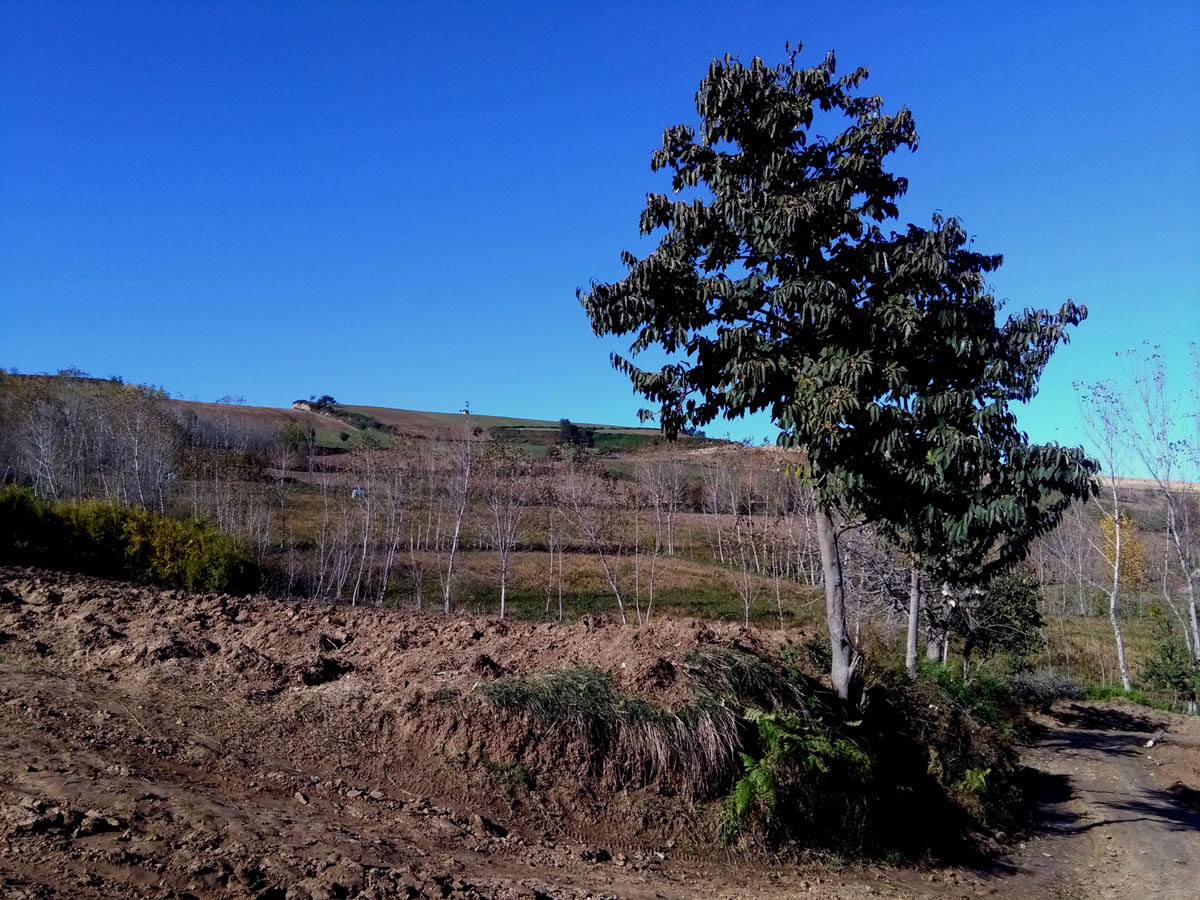 1_16_.jpg (1200×900)