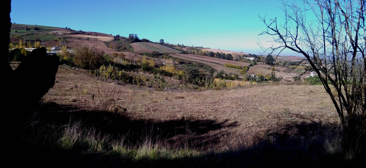 1_18_.jpg (1200×553)