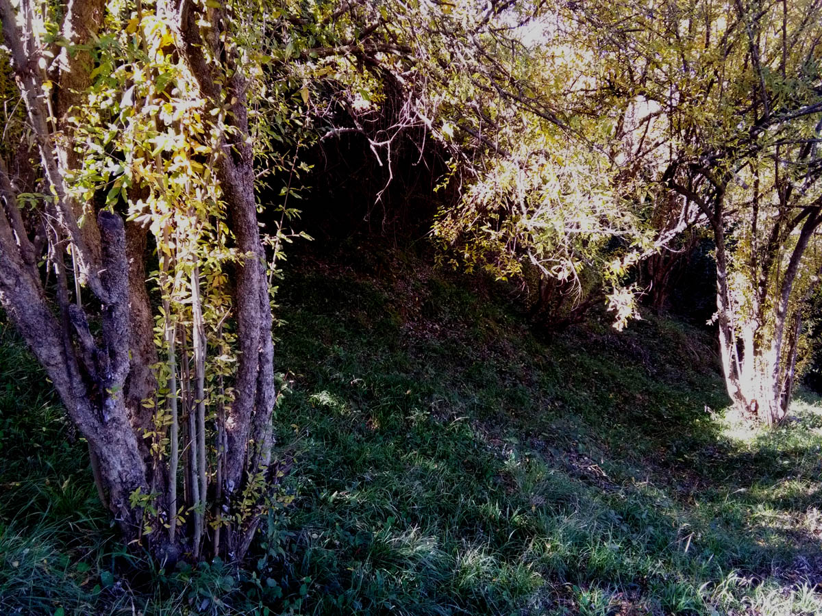 1_22_.jpg (1200×900)