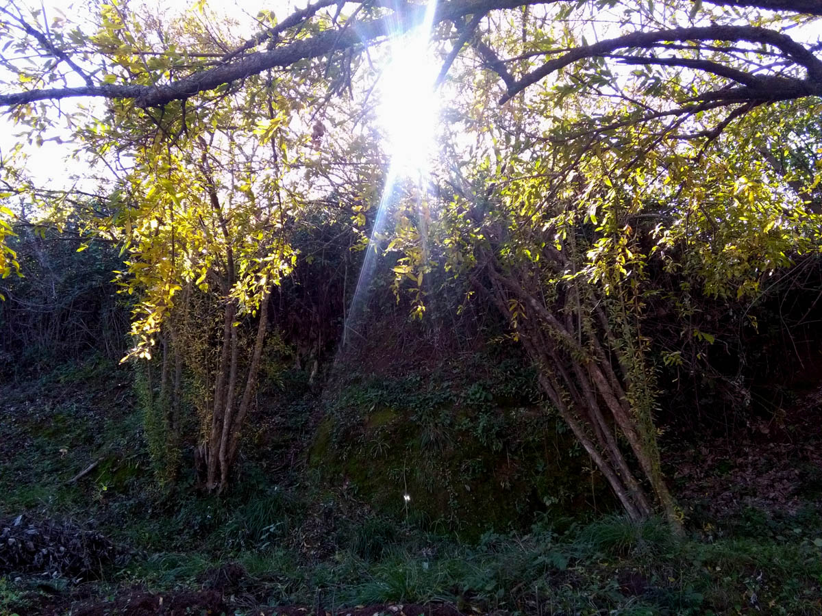 1_23_.jpg (1200×900)