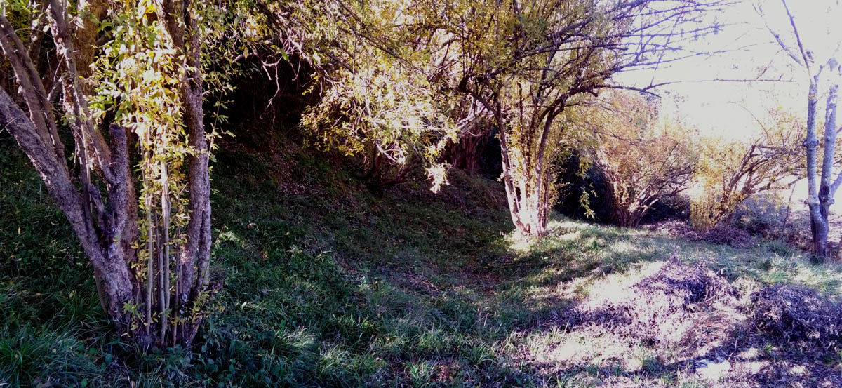 1_24_.jpg (1200×553)