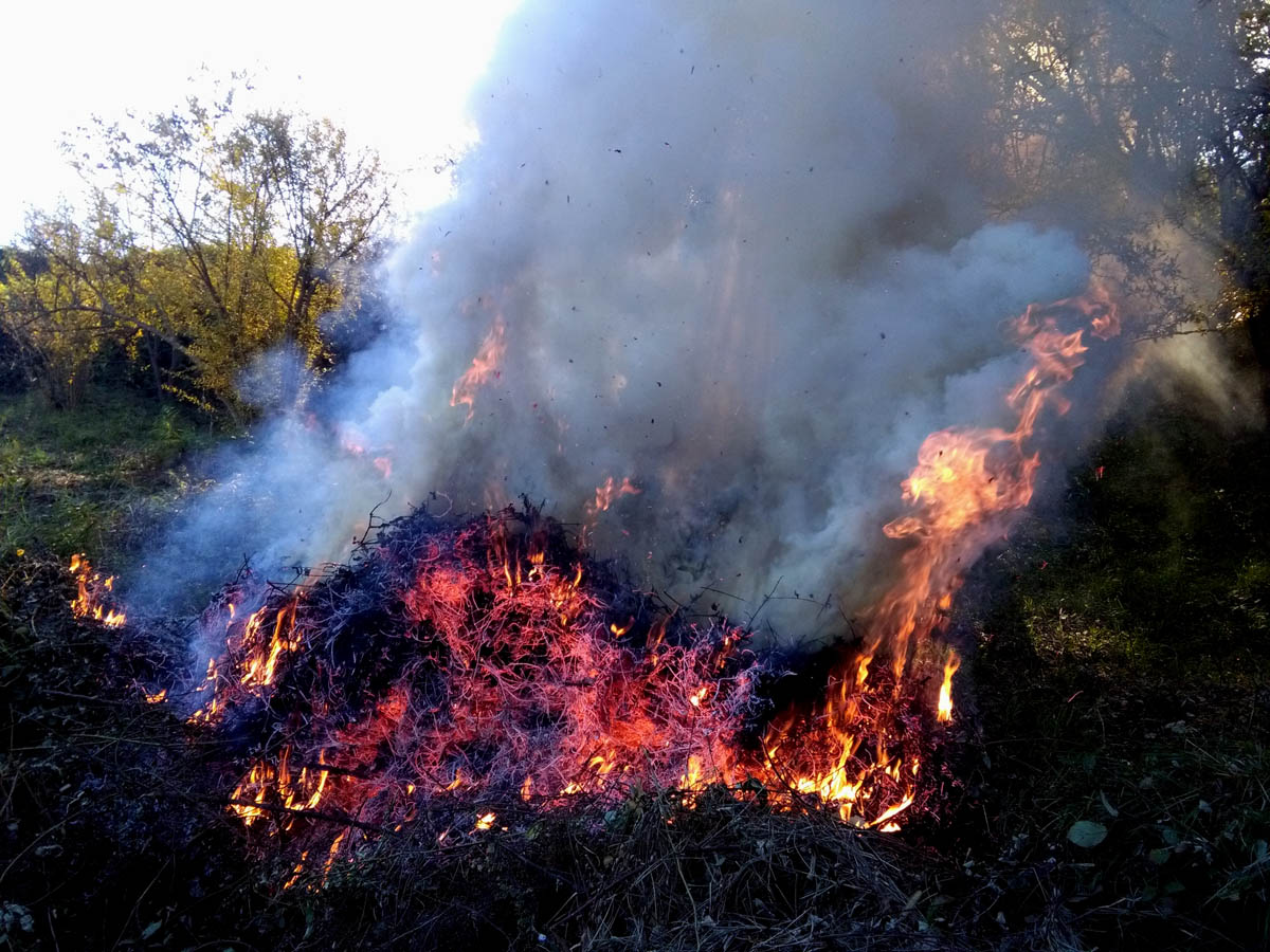 1_26_.jpg (1200×900)