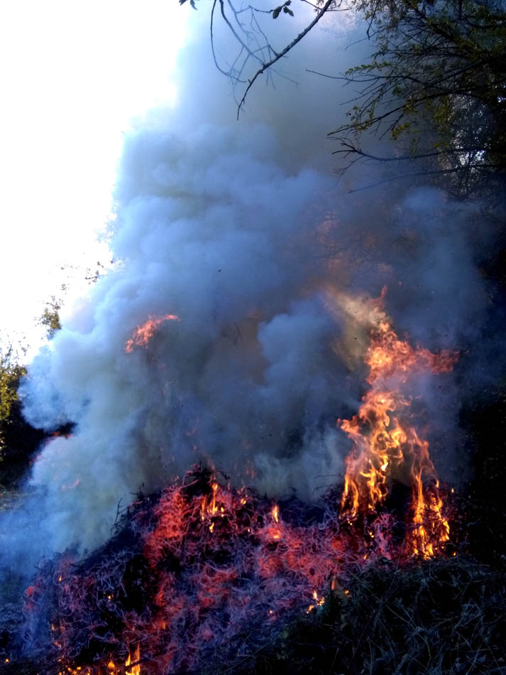 1_27_.jpg (713×950)