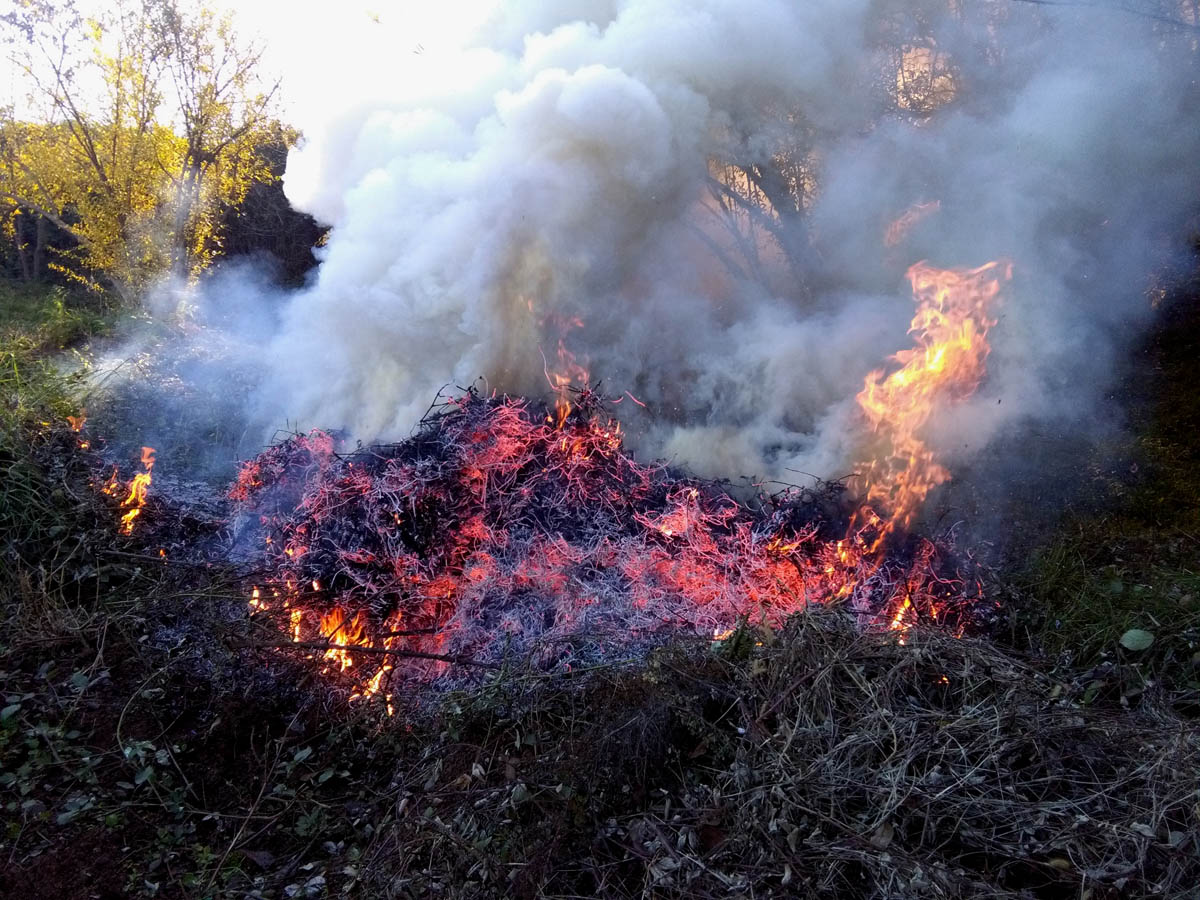 1_28_.jpg (1200×900)