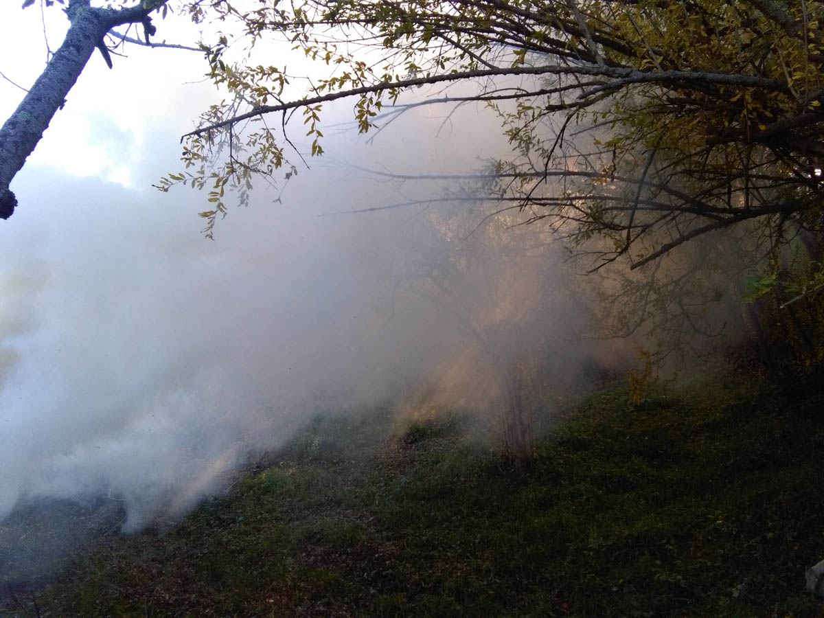 1_30_.jpg (1200×900)