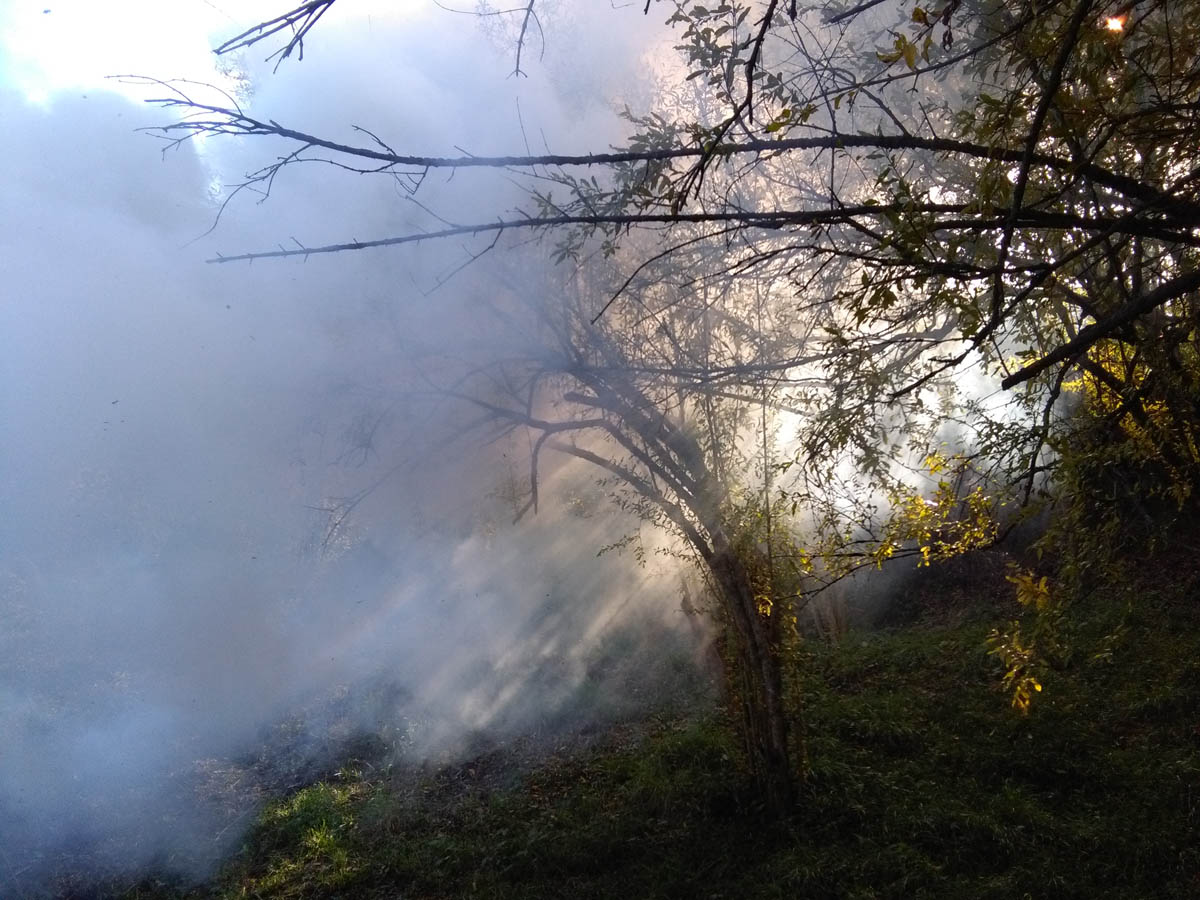 1_31_.jpg (1200×900)