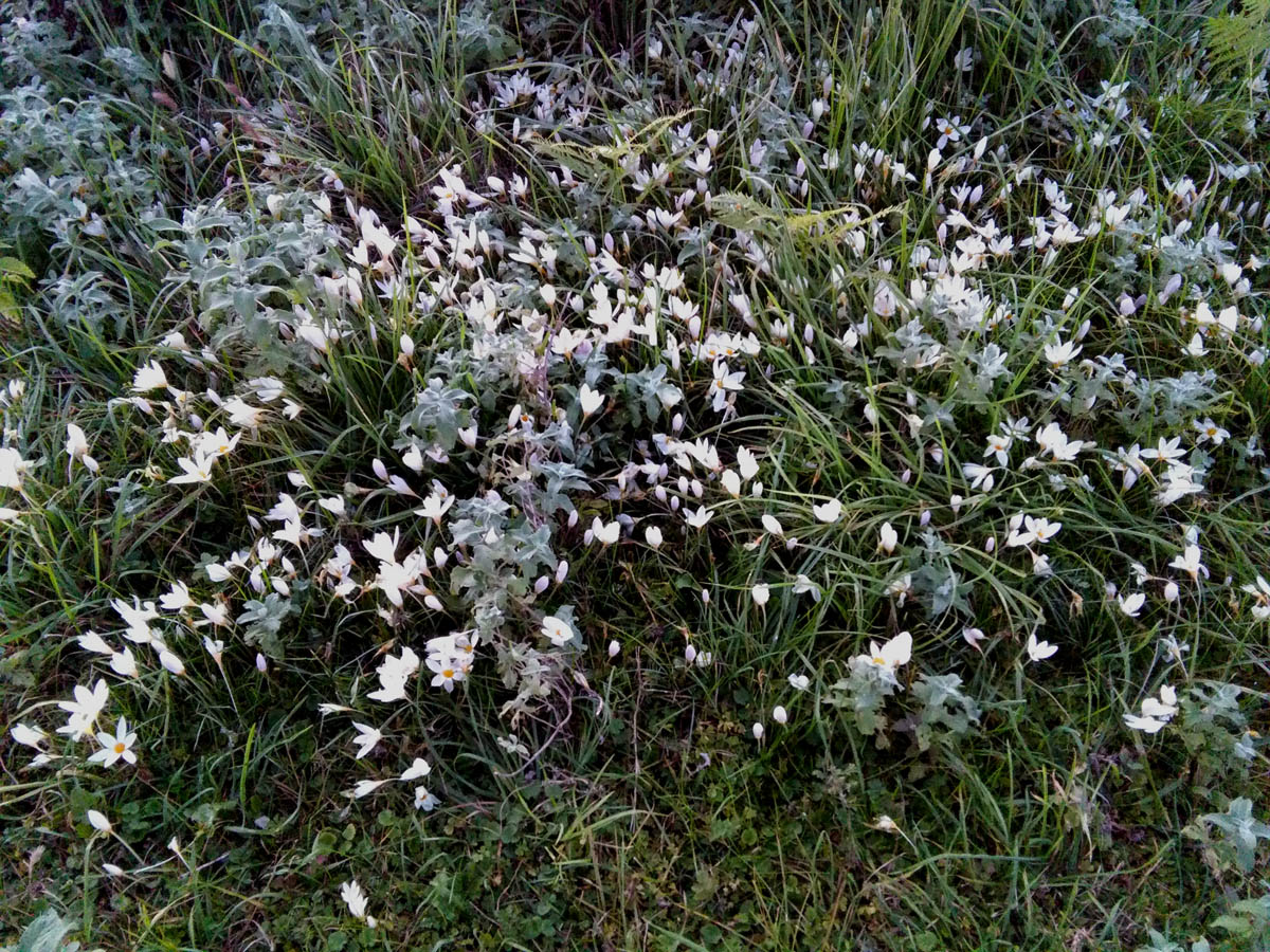 1_39_.jpg (1200×900)