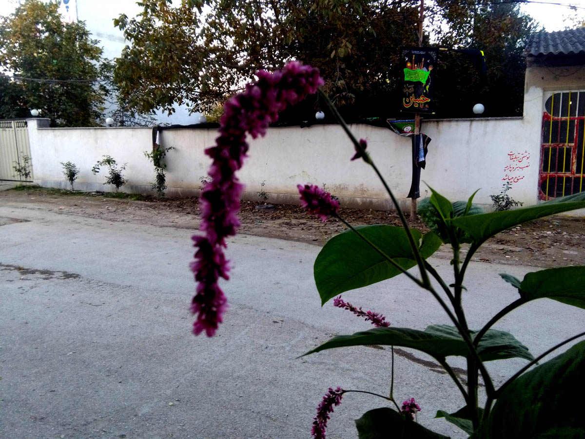 1_41_.jpg (1200×900)