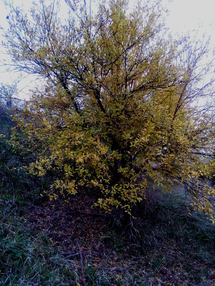 1_12_.jpg (713×950)