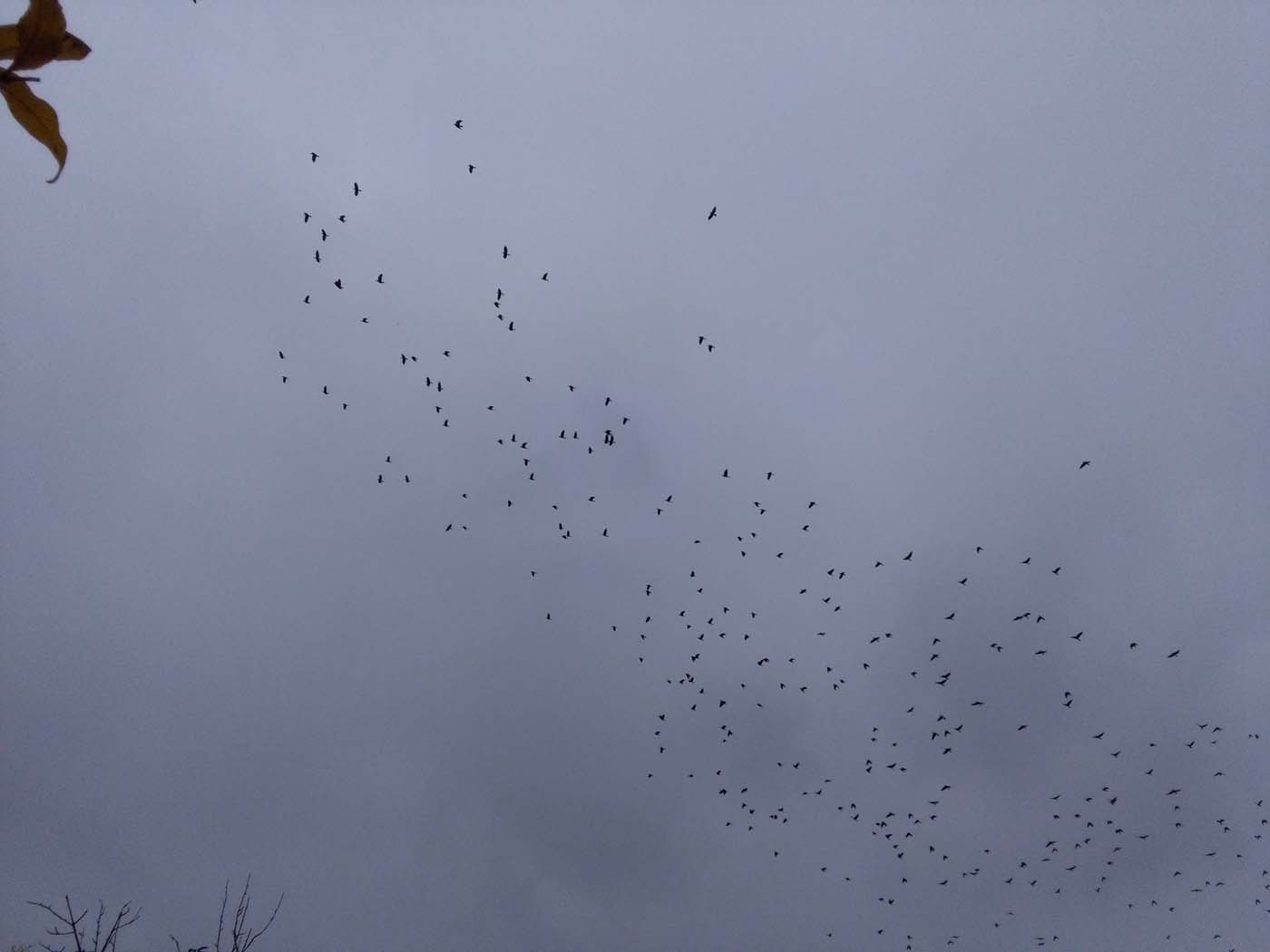 1_14_.jpg (1400×1050)