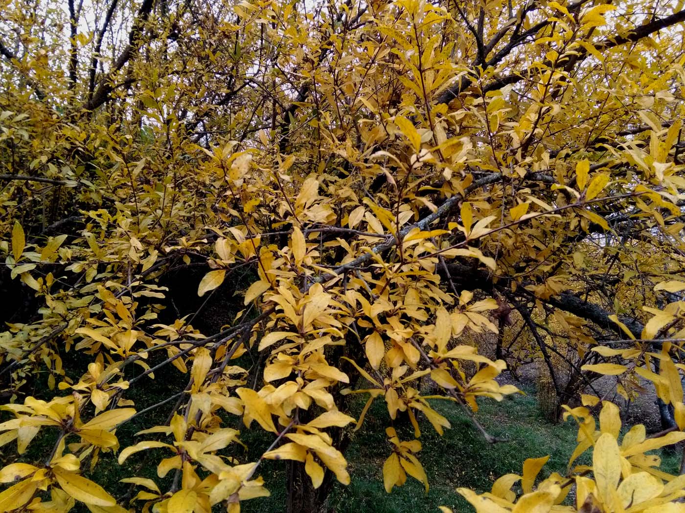 1_18_.jpg (1400×1050)