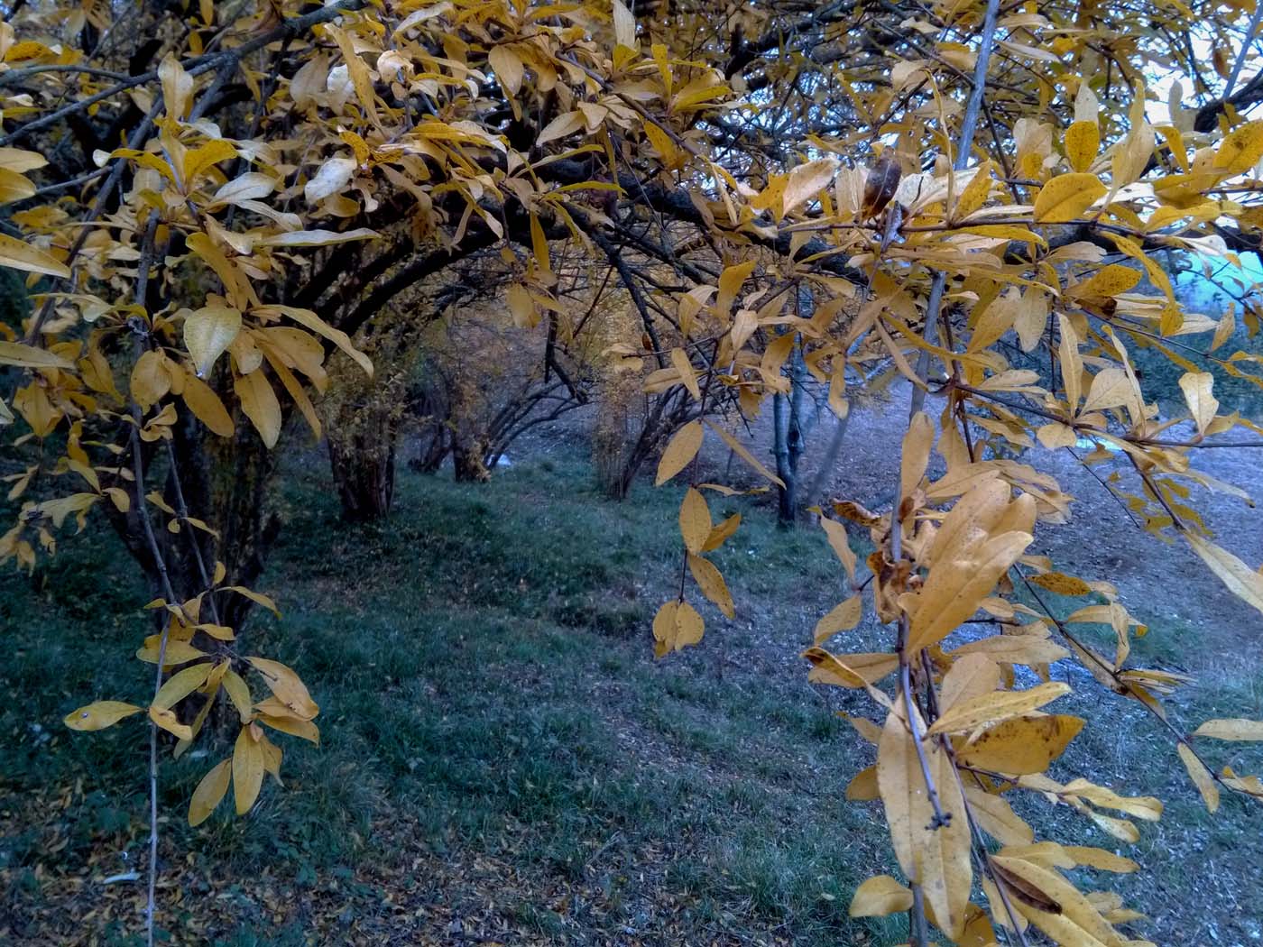 1_21_.jpg (1400×1050)