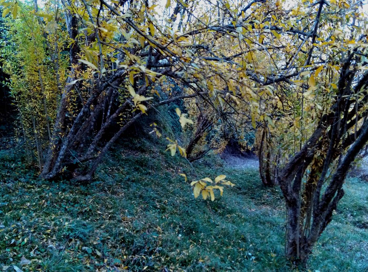 1_23_.jpg (1400×1036)