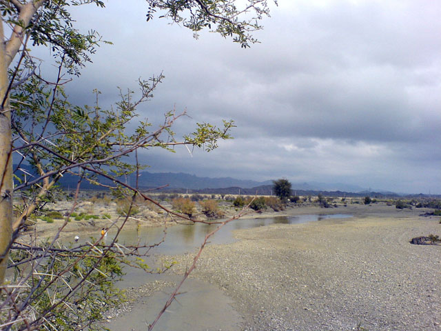 http://s8.picofile.com/file/8275375642/LostFile_JPG_62925553.jpg