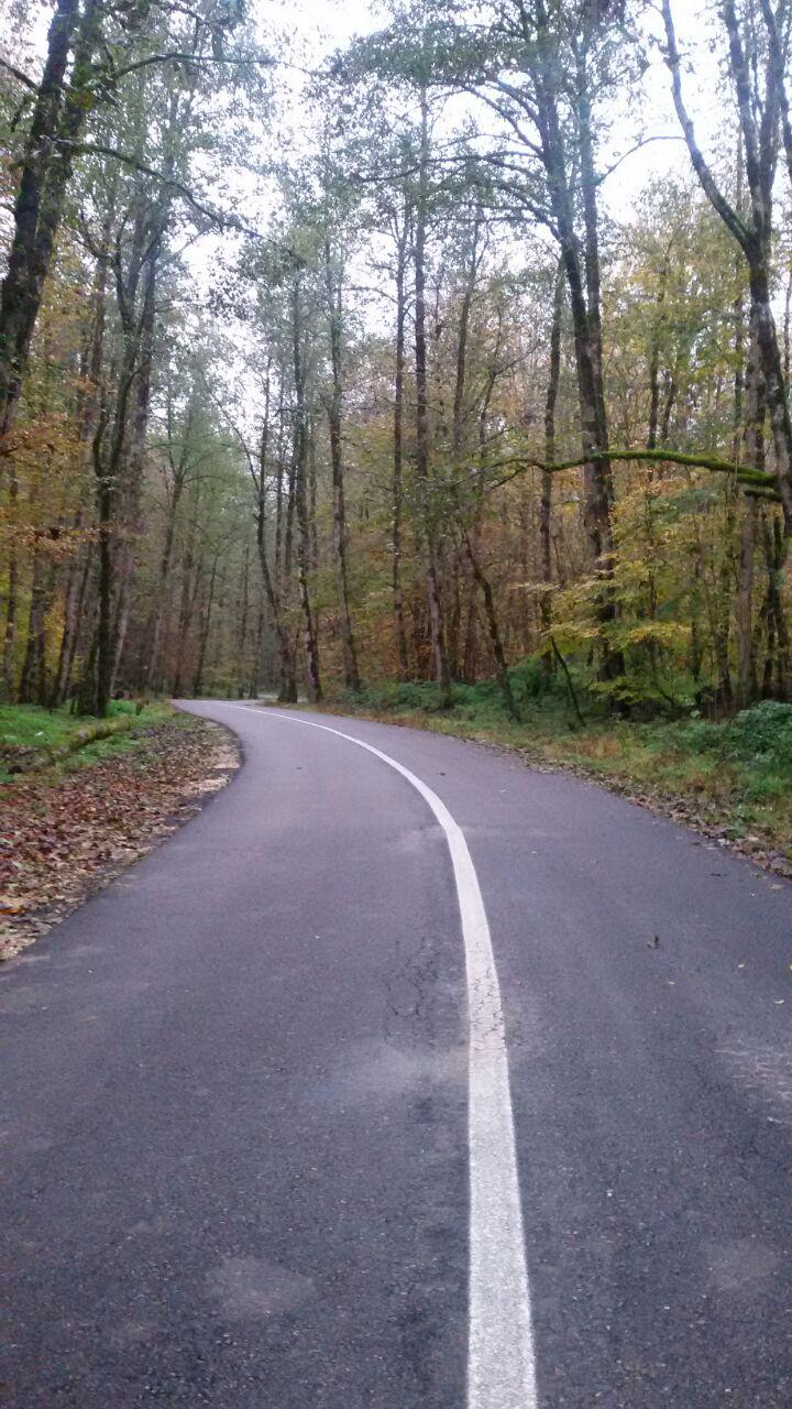 1_2_.jpg (720×1280)